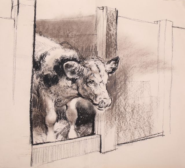 Rien Poortvliet | Kalb, Holzkohle  auf Papier, 50,0 x 64,9 cm