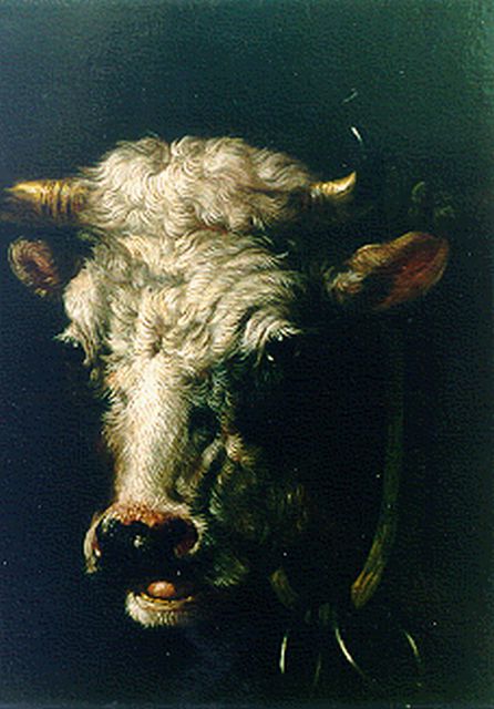 Albertus Verhoesen | A bull's head, Öl auf Holz, 16,8 x 14,0 cm