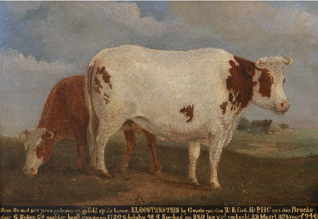 Gerrit Vreedenburgh | ​Porträt eines Ochsen vom Hof ​​Kloosterstein bei Gouda, Öl auf Holz, 35,7 x 49,4 cm, Unterzeichnet u.l. und zu datieren um 1875