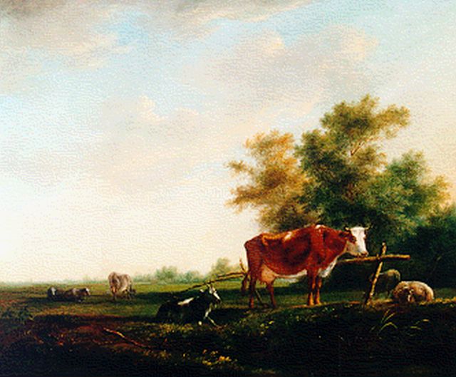 Johannes Janson | Cattle in a landscape, Öl auf Holz, 29,8 x 35,5 cm, signed l.r.