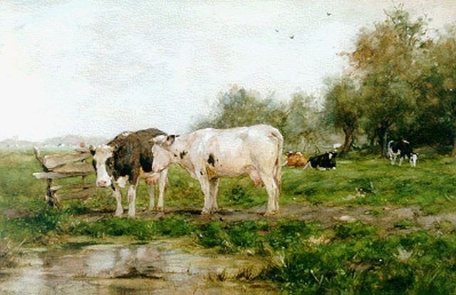 Adriaan Groenewegen | Cattle in a meadow, Aquarell und Gouache auf Papier, 34,5 x 52,0 cm, signed l.l.