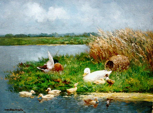 Artz C.D.L.  | A duck family in a polder landscape, Öl auf Leinwand 30,4 x 40,5 cm, signed l.l.