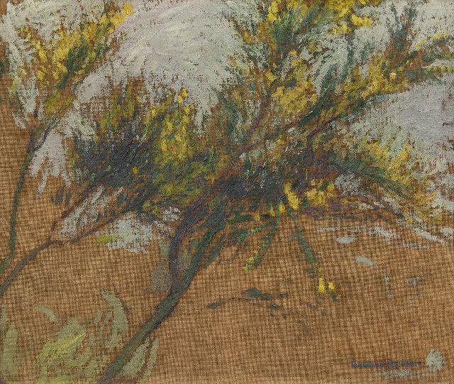Smet G. de | Studie eines blühender Besenginster, Öl auf Leinwand 33,2 x 40,0 cm, Unterzeichnet u.r.