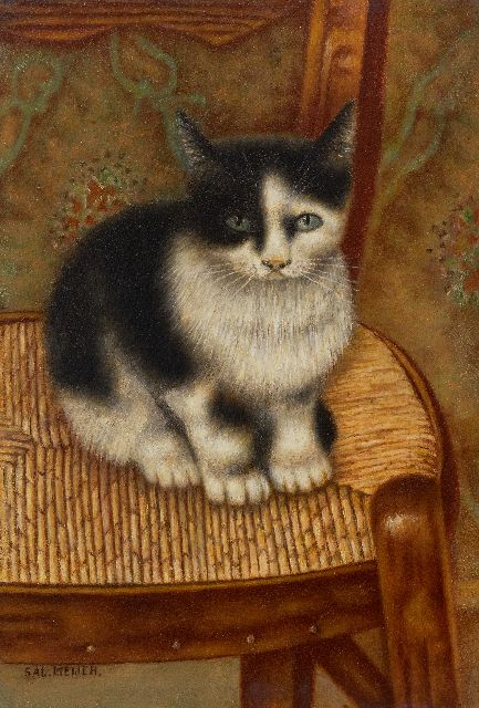 Sal Meijer | Katze auf einem Stuhl, Öl auf Holz, 32,0 x 22,2 cm, Unterzeichnet u.l.
