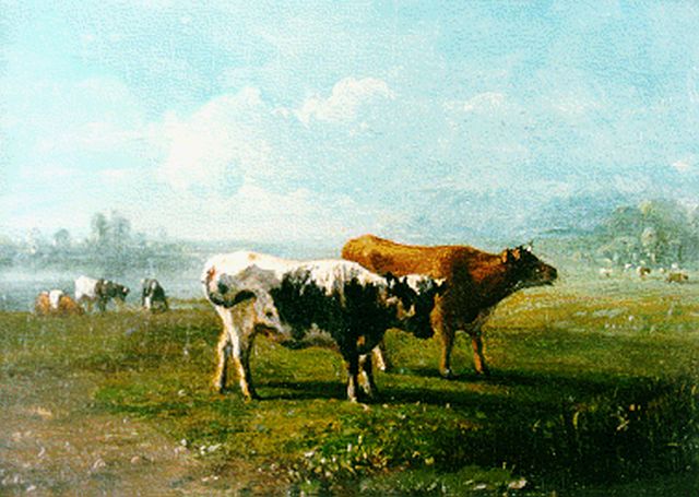 Jan Bedijs Tom | Cows in a meadow, Öl auf Holz, 13,3 x 18,4 cm, signed l.l.