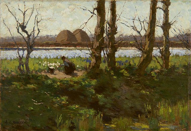 Anton Koster | Tulpenköpfe, im Hintergrund ein Hyazinthenfeld, Öl auf Leinwand, 31,6 x 45,4 cm, Unterzeichnet l.u. und reserviert