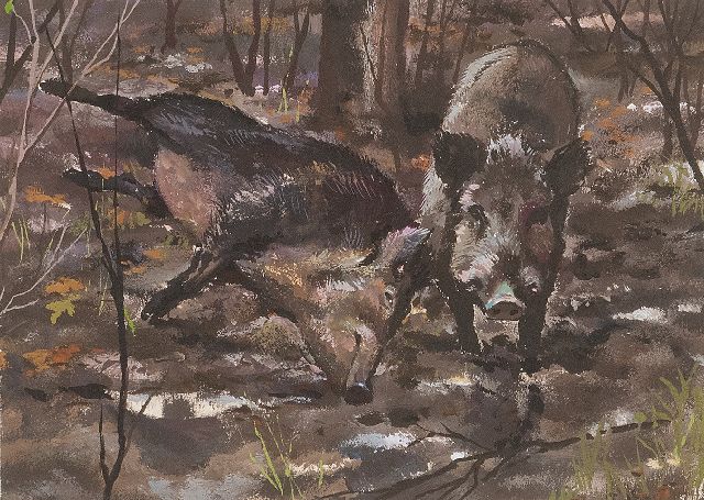 Rien Poortvliet | Two rooting wild boars, Hoge Veluwe, Gouache auf Papier, 13,2 x 17,5 cm