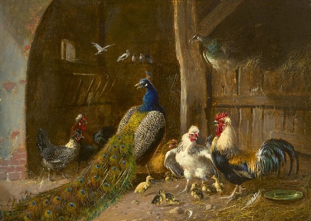 Scheuerer J.  | Pfauen mit Hahn und Hühnern in der Scheune, Öl auf Holz 22,2 x 31,1 cm, Unterzeichnet M.r