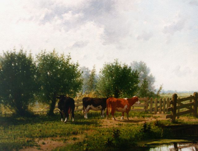 Cornelis Westerbeek | Cows by a fence, Öl auf Holz, 66,4 x 88,2 cm, signed l.l. und dated '84