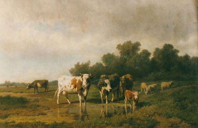 Hendrik Savrij | Cattle in a meadow, Öl auf Leinwand, 81,0 x 127,0 cm, signed l.r.