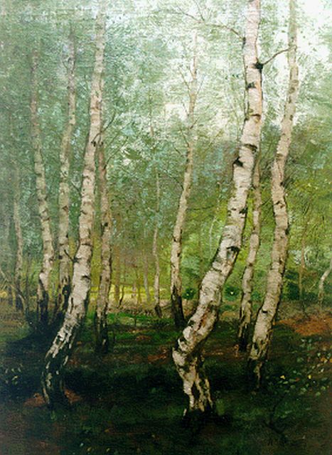 Gorter A.M.  | Birches, Öl auf Leinwand 70,4 x 54,0 cm, signed l.r.