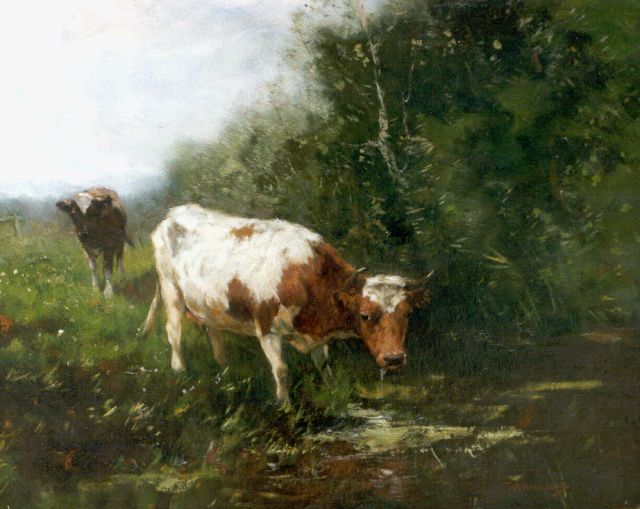 Johan Frederik Cornelis Scherrewitz | Cows on the riverbank, Öl auf Leinwand, 40,0 x 50,2 cm, signed l.r.