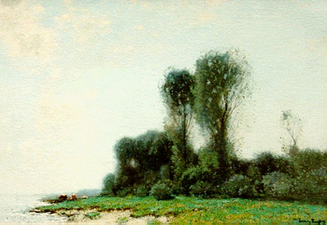 Cornelis Kuijpers | Cows in a summer landscape, Öl auf Leinwand, 45,0 x 60,0 cm, signed l.r.