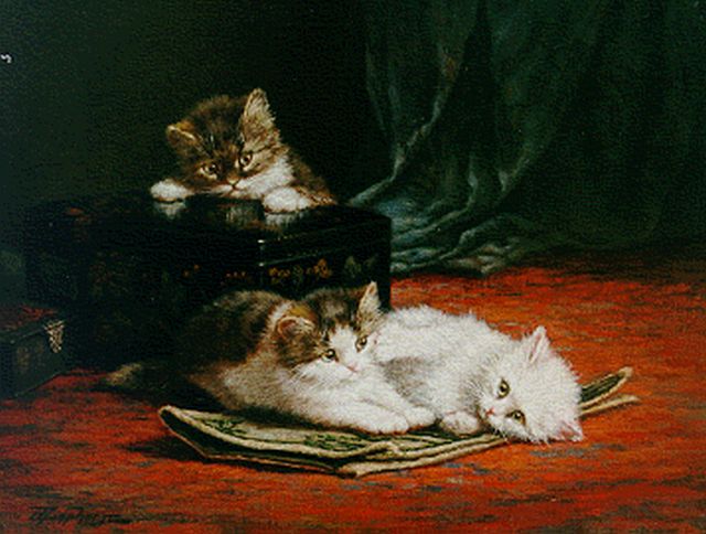 Cornelis Raaphorst | Kittens playing, Öl auf Leinwand, 40,6 x 50,2 cm, signed l.l.