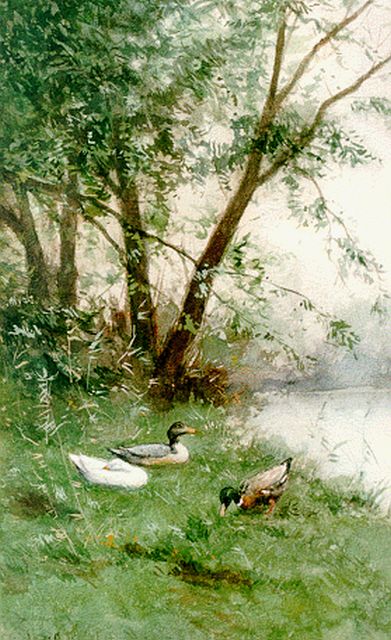 Constant Artz | Ducks on the riverbank, Aquarell auf Papier, 37,8 x 25,0 cm, signed l.l.