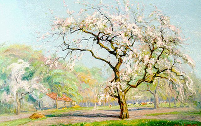 Meijer J.  | An orchard in blossom, Öl auf Leinwand 40,4 x 59,7 cm, signed l.r.