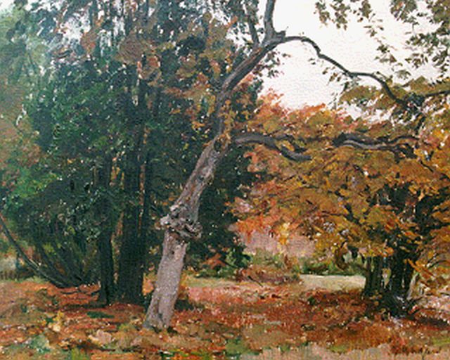 Albert Roelofs | A forest landscape, Öl auf Holz, 40,2 x 49,9 cm, signed l.r.
