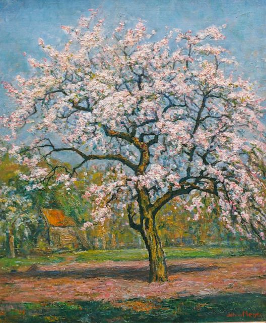 Meijer J.  | A flowering tree, Öl auf Leinwand 60,0 x 50,0 cm, signed l.r.