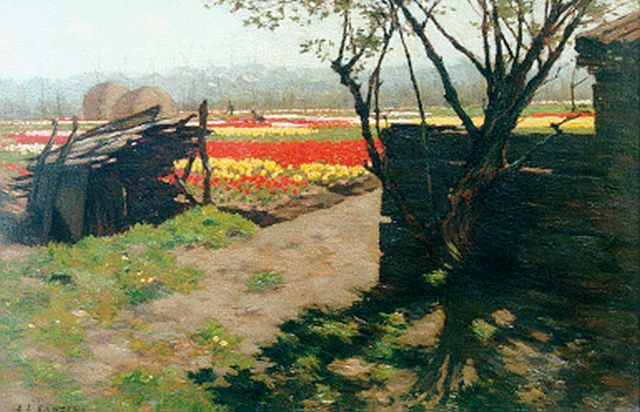 Anton Koster | Bulb fields, Öl auf Leinwand, 30,4 x 44,9 cm, signed l.l.