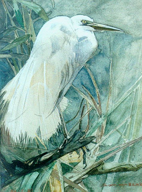 Sam van Beek | A white heron, Aquarell auf Holzfaserplatte, 33,0 x 25,5 cm, signed l.r.