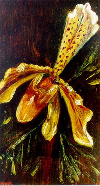 Maris M.  | Orchids, Öl auf Papier Malereifaser 22,0 x 12,6 cm