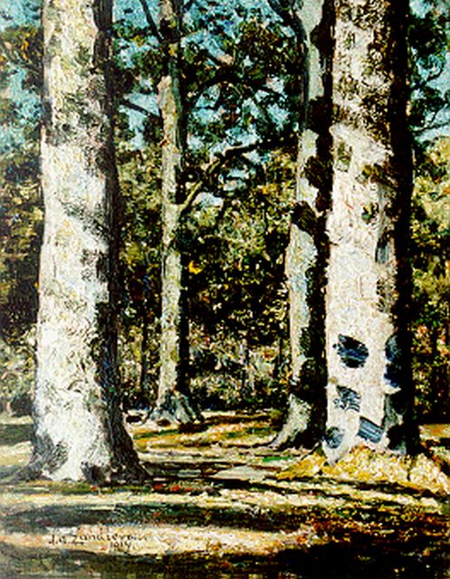 Jan Adam Zandleven | A sunlit wooded landscape, Öl auf Leinwand Malereifaser, 41,0 x 32,0 cm, signed l.l. und dated 1914