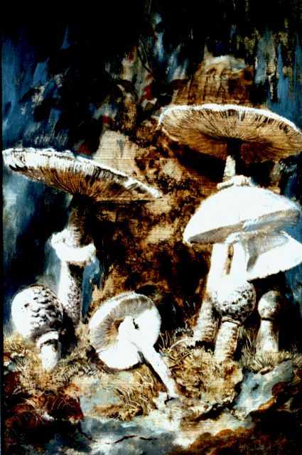 Theo Goedvriend | Mushrooms, Öl auf Holz, 41,9 x 28,5 cm, signed l.r.