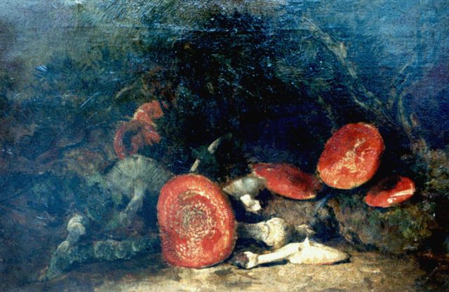 Theo Goedvriend | Red mushrooms, Öl auf Leinwand, 85,6 x 55,6 cm, signed l.l.