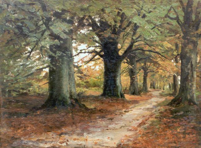 Mondriaan F.H.  | A forest lane, Öl auf Leinwand Malereifaser 48,0 x 64,0 cm, signed l.l.