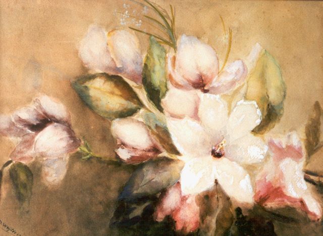 Marie Wuytiers | Magnolia, Aquarell und Gouache auf Papier, 39,5 x 54,0 cm, signed l.l.