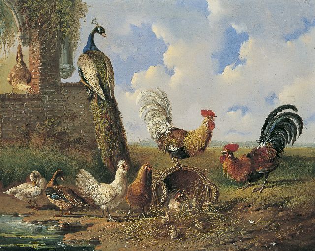 Albertus Verhoesen | Poultry and a peacock near a ruin, Öl auf Holz, 30,4 x 38,3 cm, signed l.r. und dated 1861
