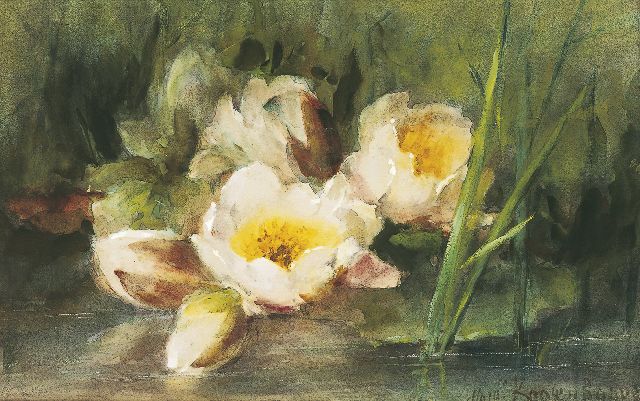 Margaretha Roosenboom | Water lilies, Aquarell auf Papier, 33,0 x 51,7 cm, signed l.r.