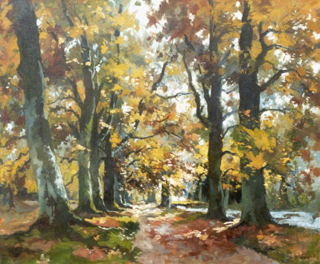 Jan van Vuuren | Fall woods, Öl auf Leinwand, 50,2 x 60,4 cm, signed l.r.