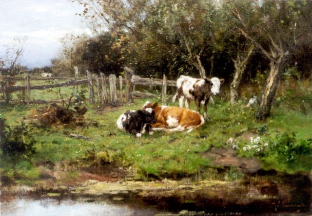 Scherrewitz J.F.C.  | Calfs in a meadow, Öl auf Leinwand 35,0 x 50,3 cm, signed l.r.