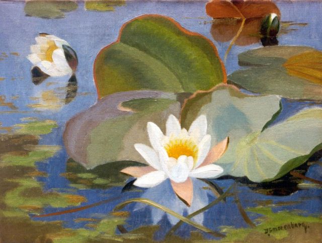 Dirk Smorenberg | Water lilies, Öl auf Leinwand, 30,5 x 40,5 cm, signed l.r.
