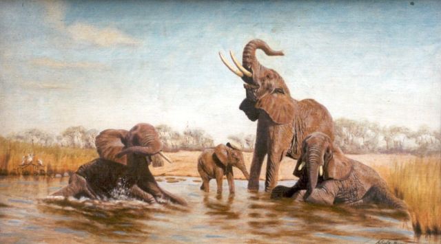 Schulz-Borek R.  | Elephants, Öl auf Leinwand 37,5 x 64,8 cm, signed l.r.
