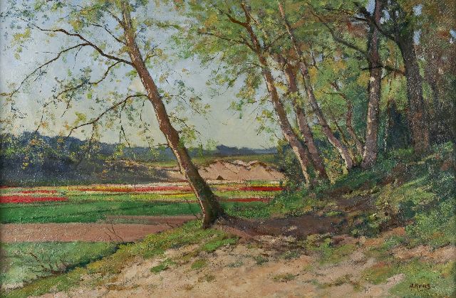 Keus A.  | Waldrand mit Aussicht auf Blumenzwiebelfeld, Öl auf Leinwand 54,0 x 81,2 cm, Unterzeichnet r.u.