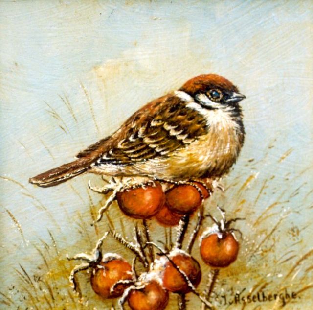 van Asselberghe | A Tree sparrow, Öl auf Holz, 13,0 x 13,0 cm, signed l.r.