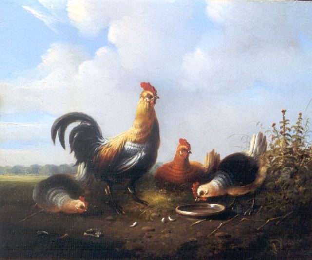 Verhoesen A.  | Poultry in a meadow, Öl auf Holz 19,7 x 23,7 cm, signed l.r.