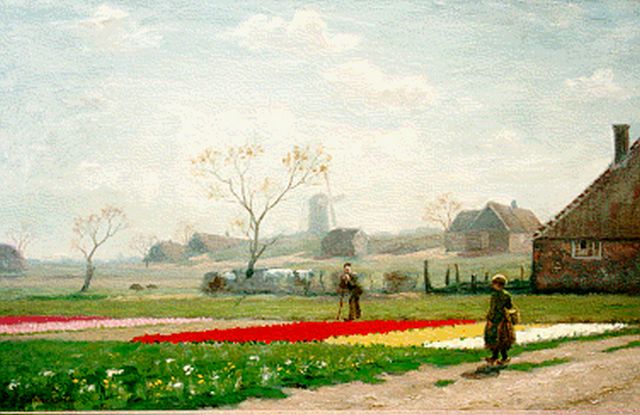 Anna Gildemeester | A bulb field, Öl auf Leinwand, 46,0 x 72,0 cm, signed l.l.