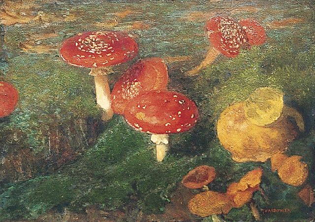 Marie Wandscheer | Fly agarics, Öl auf Holz, 30,7 x 41,0 cm, signed l.r.  Sold tot Historical Museum Ede