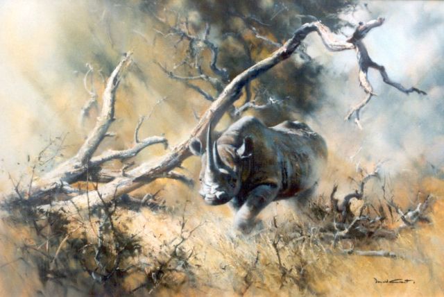 Grant D.  | Rhino Charge, Öl auf Leinwand 70,0 x 106,0 cm, signed l.r.