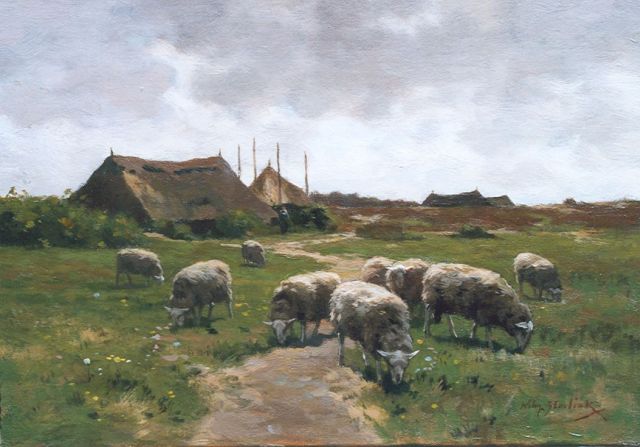 Willem Steelink jr. | Sheep grazing near the heath, Öl auf Leinwand, 26,6 x 38,0 cm, signed l.r.