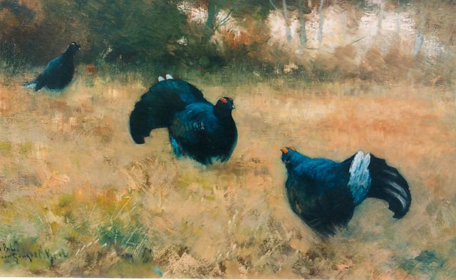 Gerard Krol | Black grouses, 36,7 x 57,8 cm, signed l.l.