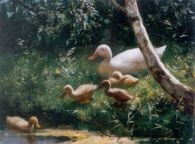 Constant Artz | Hen with ducklings watering, Öl auf Holz, 18,0 x 24,5 cm, signed l.r.