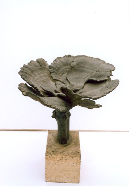Pieter Starreveld | Schmetterlingsporling, Bronze, 30,0 x 29,9 cm