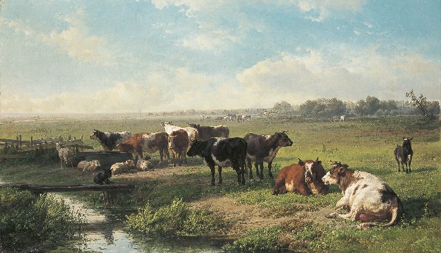 Tom J.B.  | Cattle in a polder landscape, Öl auf Leinwand 71,0 x 120,0 cm, signed l.l.