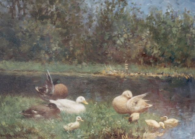 Constant Artz | Ducks and ducklings on the riverbank, 18,0 x 24,0 cm, signed l.l.