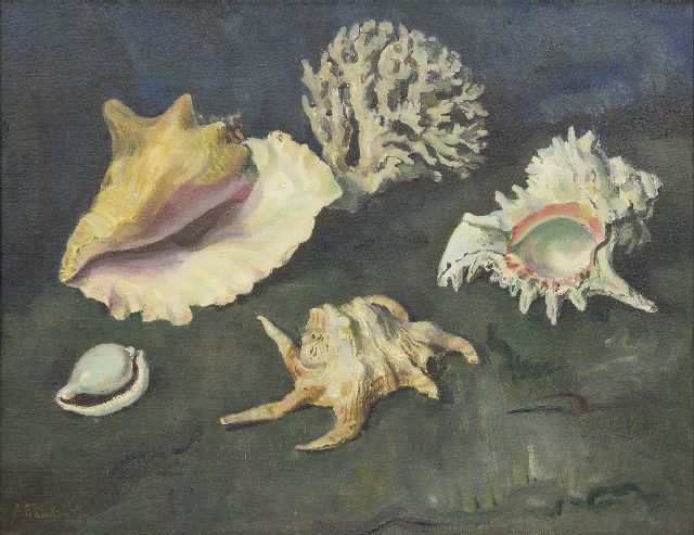 Jan Pzn. Franken | Muscheln und Korallen, Öl auf Leinwand, 50,2 x 65,2 cm, Unterzeichnet l.u.