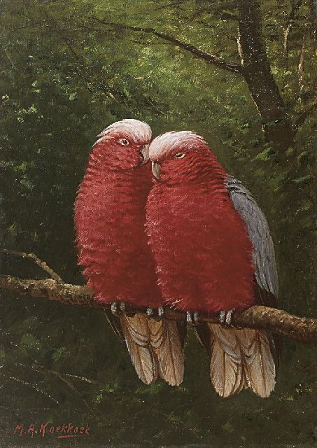 Koekkoek II M.A.  | A cockatoo couple, Öl auf Leinwand 37,7 x 26,8 cm, signed l.l.